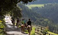 Reitvergnügen in Hafling nur wenige Meter vom Steinerhof entfernt