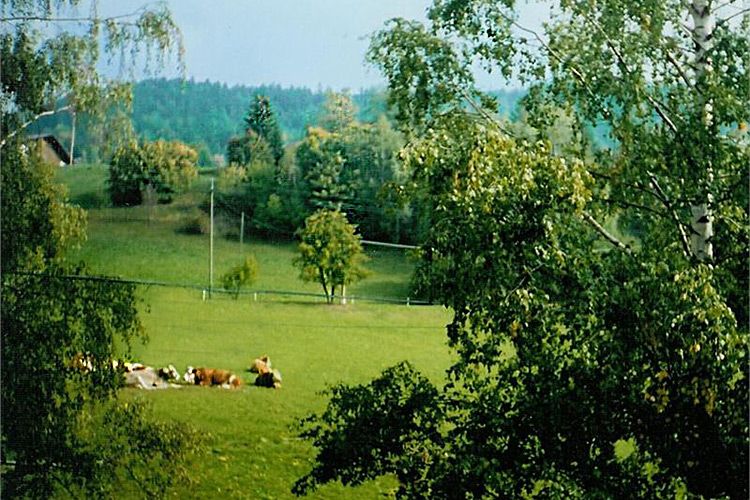 Ferienwohnung - Ausblick aus dem Fenster