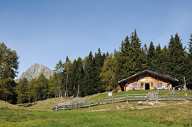 Escursione alla malga Moschwald