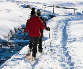 Geführte Schneeschuhwanderungen am Steinerhof in Hafling