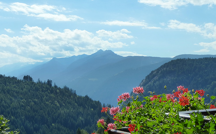Ferienwohnung - Ausblick vom Balkon