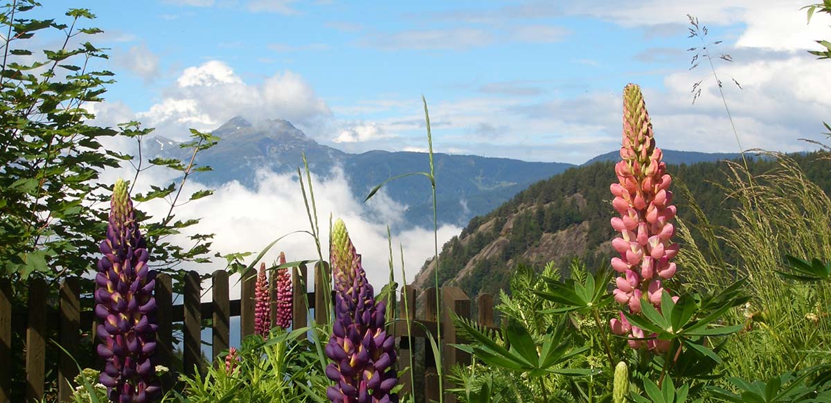 Ausblick auf die Bergwelt Südtirols