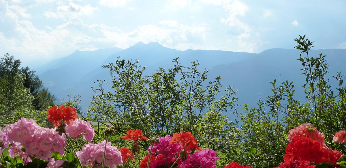 Camere con colazione al maso Steinerhof di Avelengo