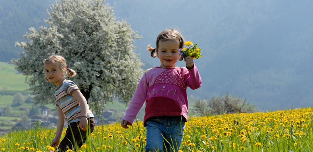 Frühlingserwachen in Hafling, Meraner Land, Südtirol