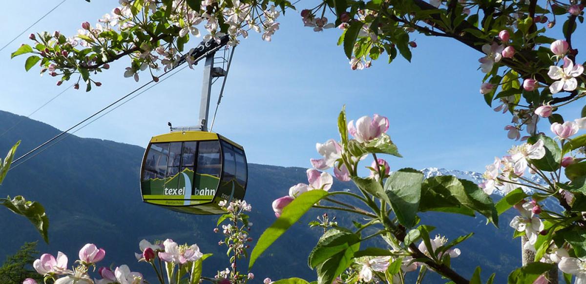 Risveglio di primavera a Avelengo, Merano e dintorni, Alto Adige Südtirol