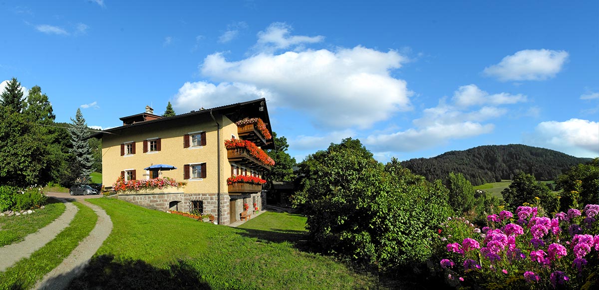 Ferienwohnungen und Zimmer am Steinerhof in Hafling