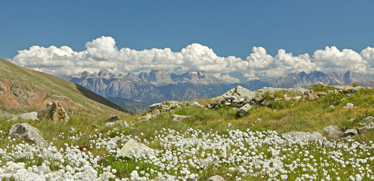 Wanderurlaub in den Südtiroler Bergen
