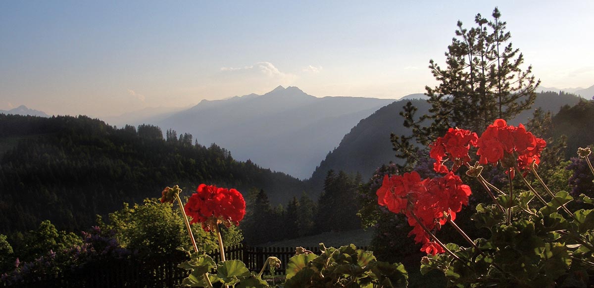 Panoramablick vom Balkon, Steinerhof