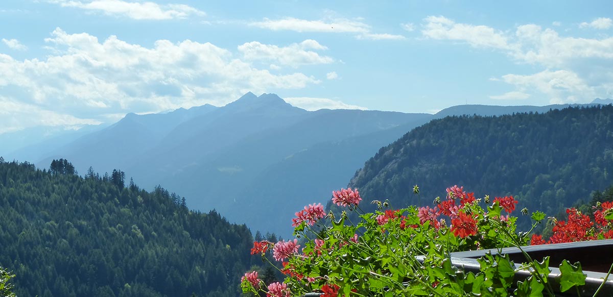 Appartamenti per vacanze al maso Steinerhof di Avelengo