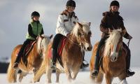 Anche in Inverno si va a cavallo